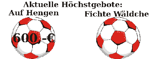 Gebote Elfmeterpunkte